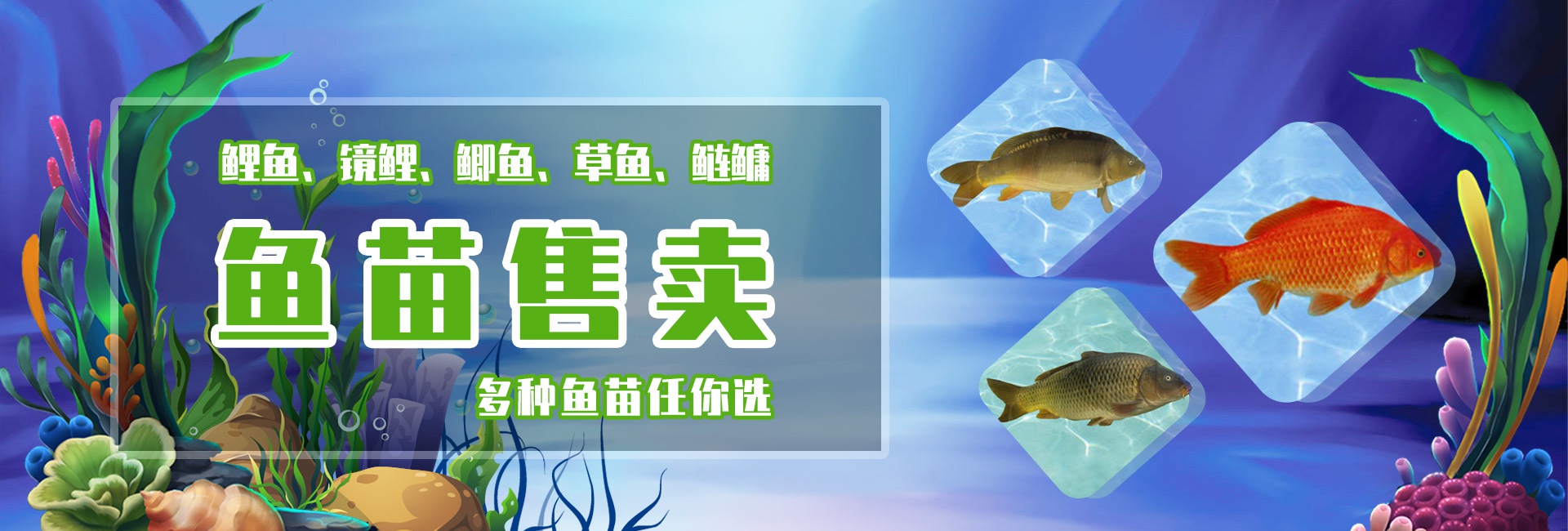 &#21315;&#20159;&#23448;&#32593;&#45;&#21315;&#20159;&#40;&#20013;&#22269;&#41;&#19968;&#31449;&#24335;&#26381;&#21153;&#23448;&#32593;