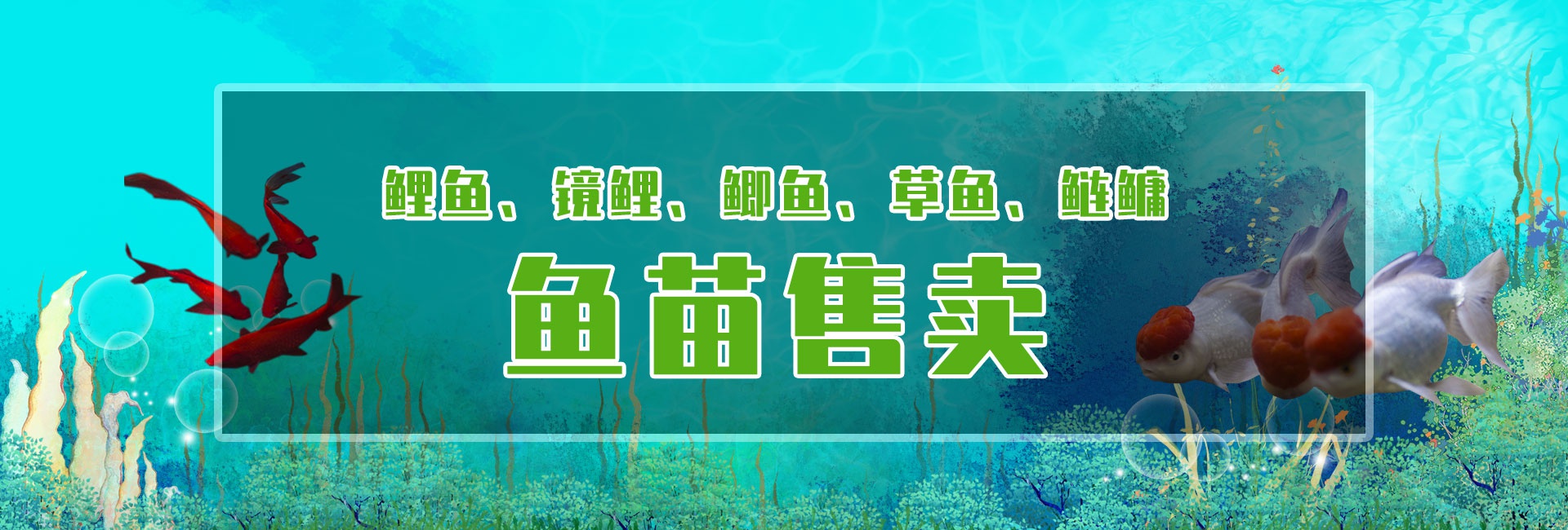 &#21315;&#20159;&#23448;&#32593;&#45;&#21315;&#20159;&#40;&#20013;&#22269;&#41;&#19968;&#31449;&#24335;&#26381;&#21153;&#23448;&#32593;