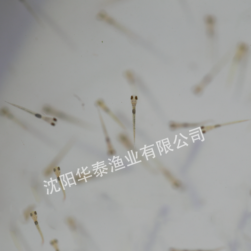 &#21315;&#20159;&#23448;&#32593;&#45;&#21315;&#20159;&#40;&#20013;&#22269;&#41;&#19968;&#31449;&#24335;&#26381;&#21153;&#23448;&#32593;