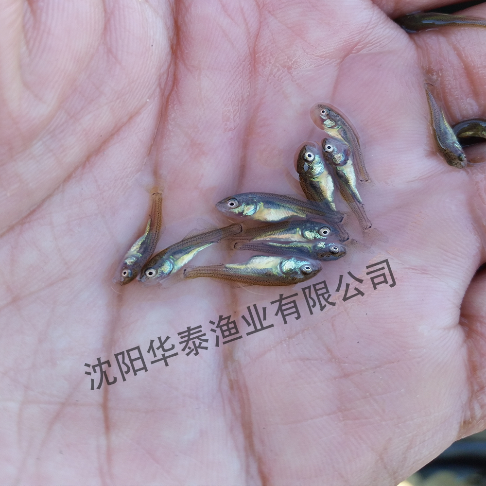 &#21315;&#20159;&#23448;&#32593;&#45;&#21315;&#20159;&#40;&#20013;&#22269;&#41;&#19968;&#31449;&#24335;&#26381;&#21153;&#23448;&#32593;
