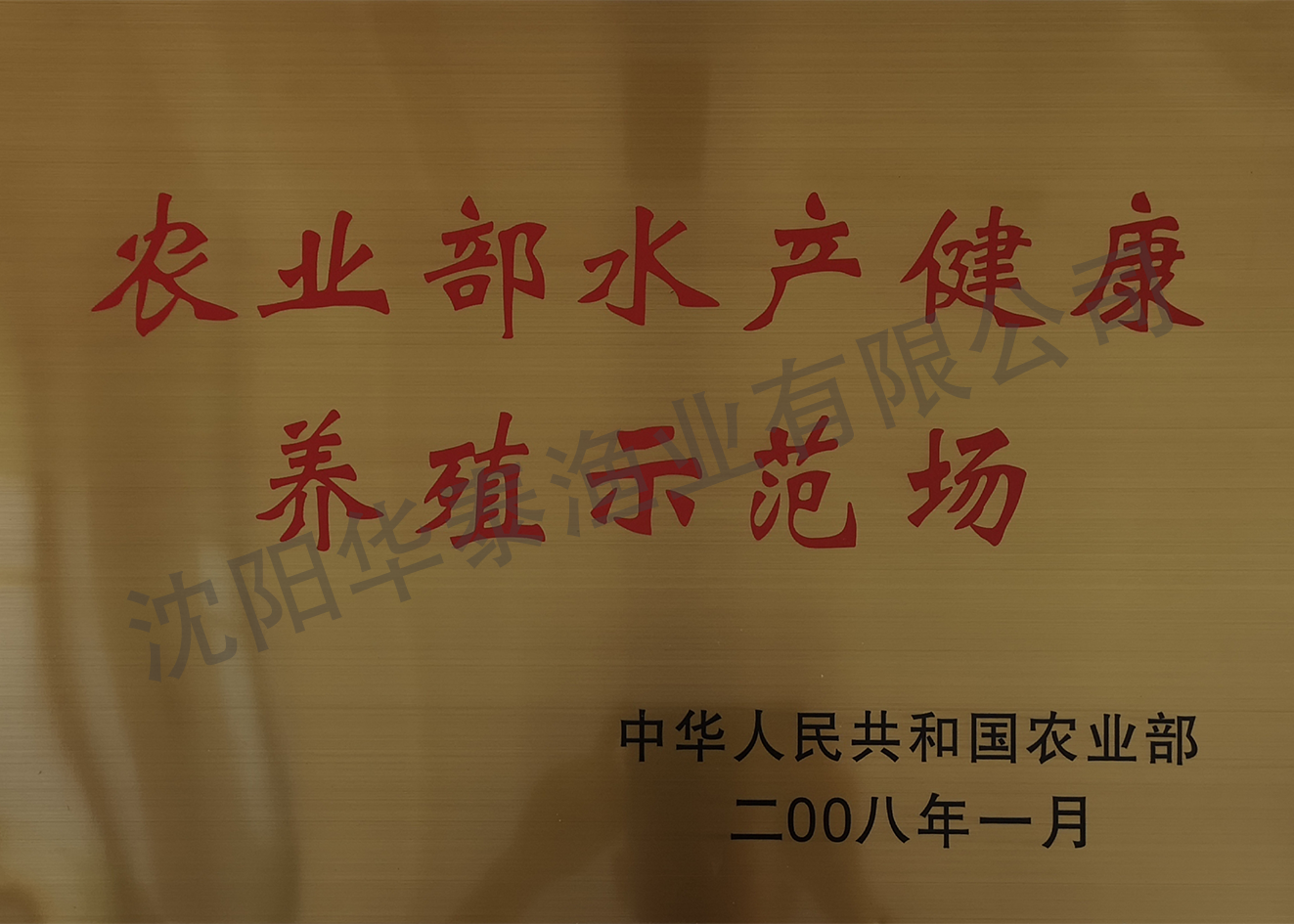 &#21315;&#20159;&#23448;&#32593;&#45;&#21315;&#20159;&#40;&#20013;&#22269;&#41;&#19968;&#31449;&#24335;&#26381;&#21153;&#23448;&#32593;