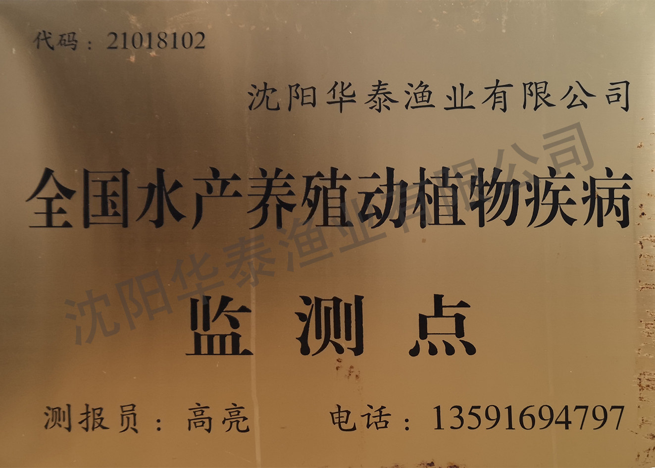 &#21315;&#20159;&#23448;&#32593;&#45;&#21315;&#20159;&#40;&#20013;&#22269;&#41;&#19968;&#31449;&#24335;&#26381;&#21153;&#23448;&#32593;